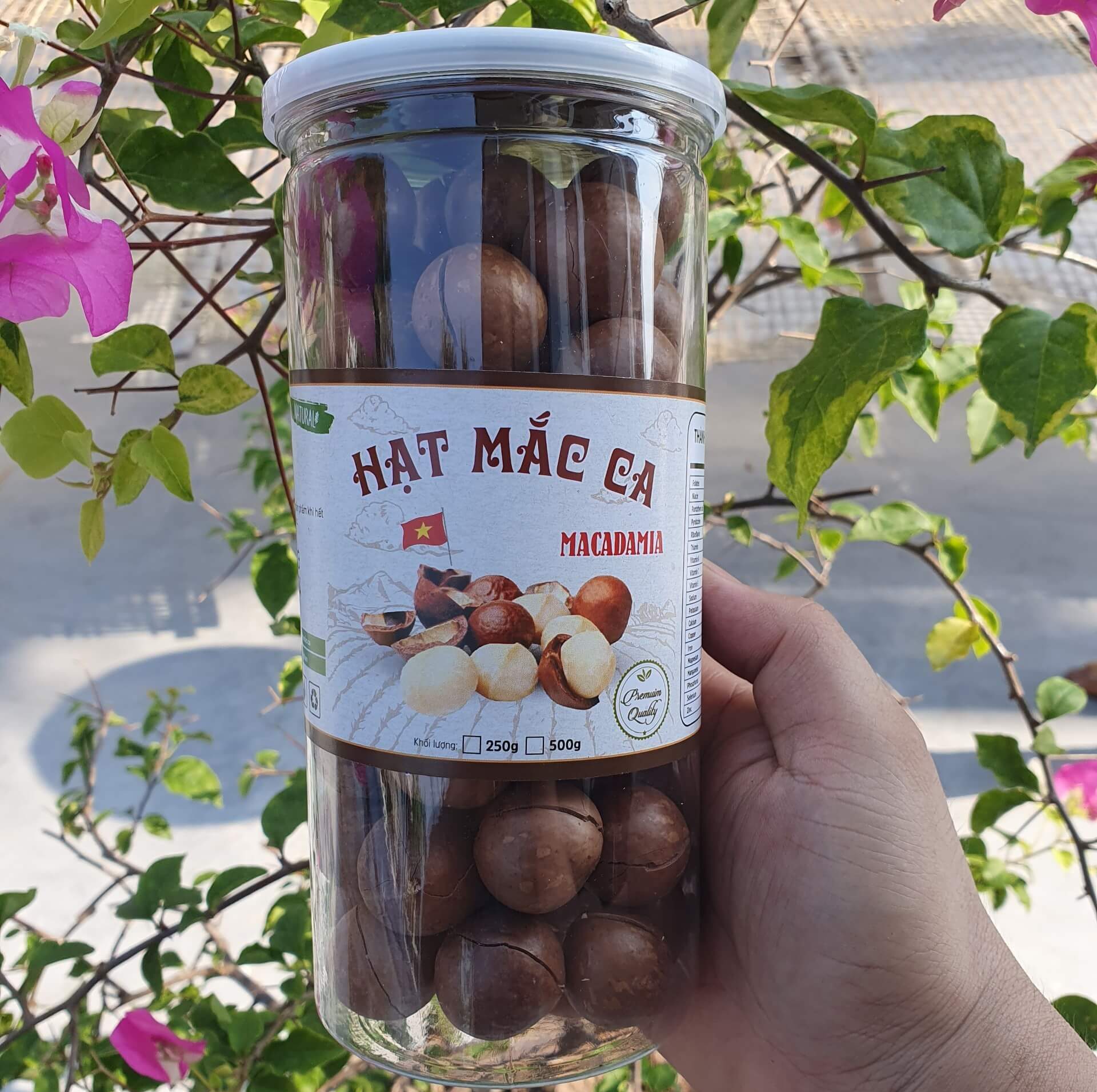 Hạt mắc ca tại sài gòn