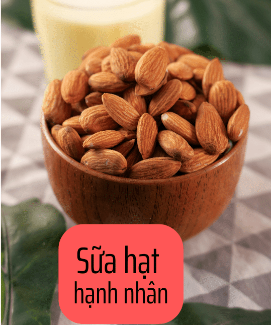 Sữa hạt dinh dưỡng