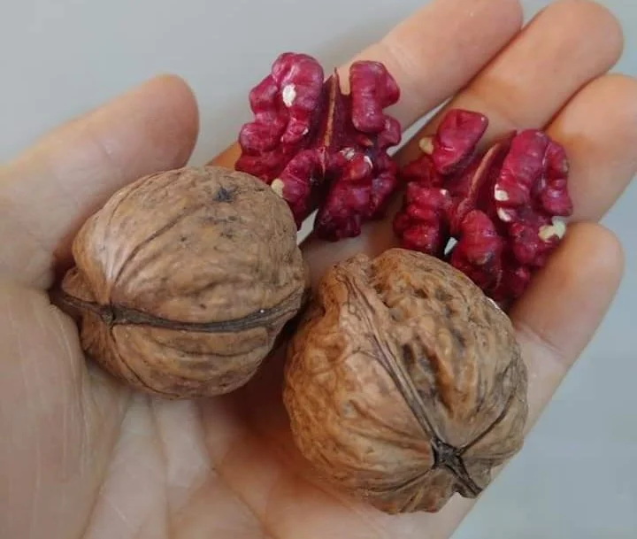 nhân hạt óc chó đỏ
