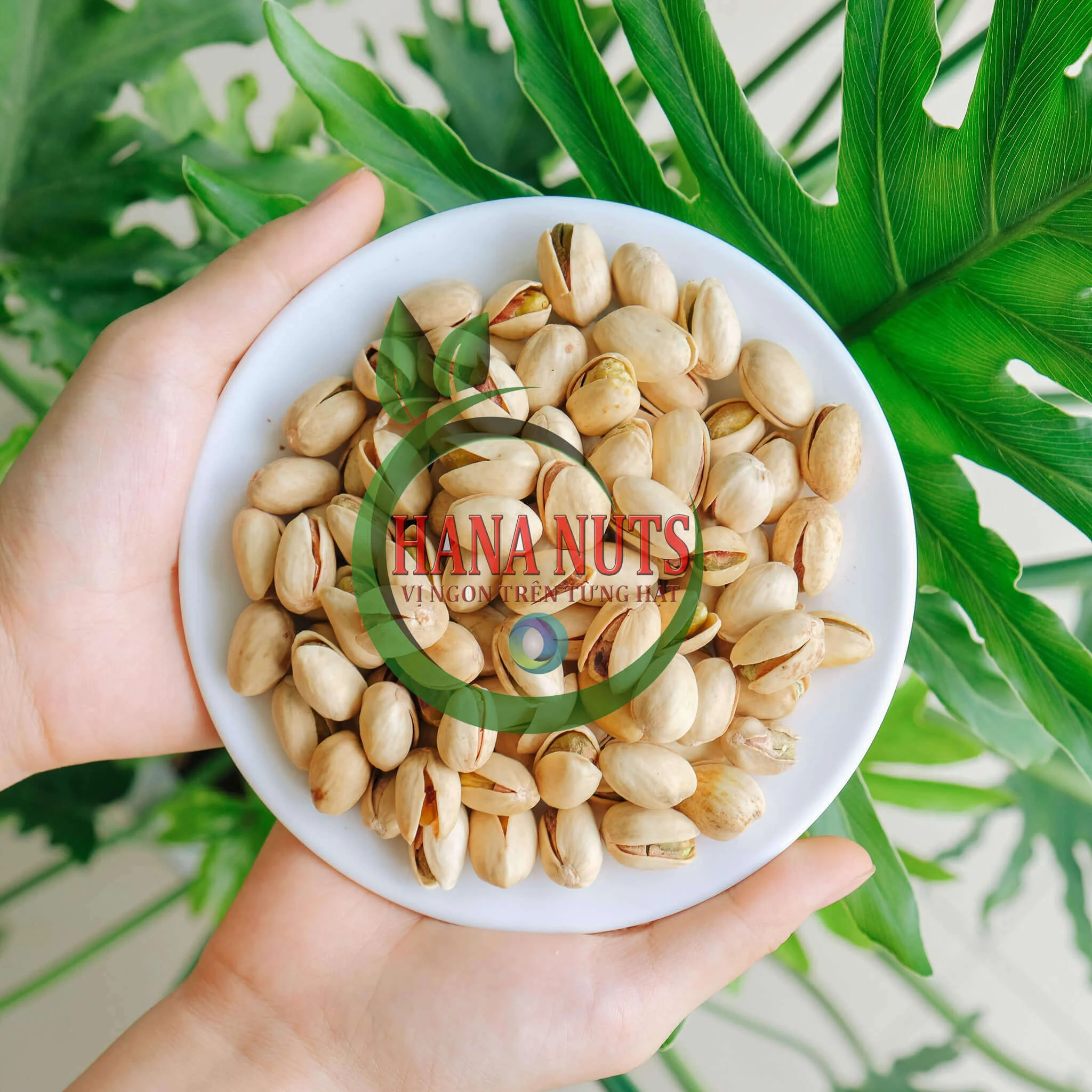 Công Ty Bán Hạt Dẻ Cười Giá Sỉ