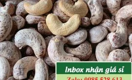Giá hạt điều mới nhất uy tín tận xưởng