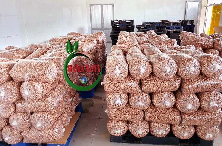 hạt điều giá sỉ rẻ nhất
