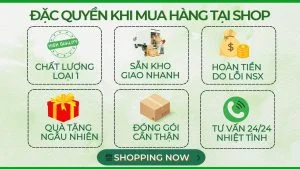 Nguồn sỉ hạt dinh dưỡng